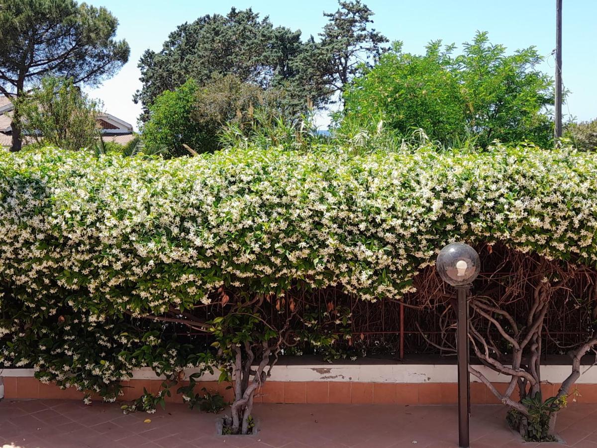 Guest House Al Mare Civitavecchia Luaran gambar