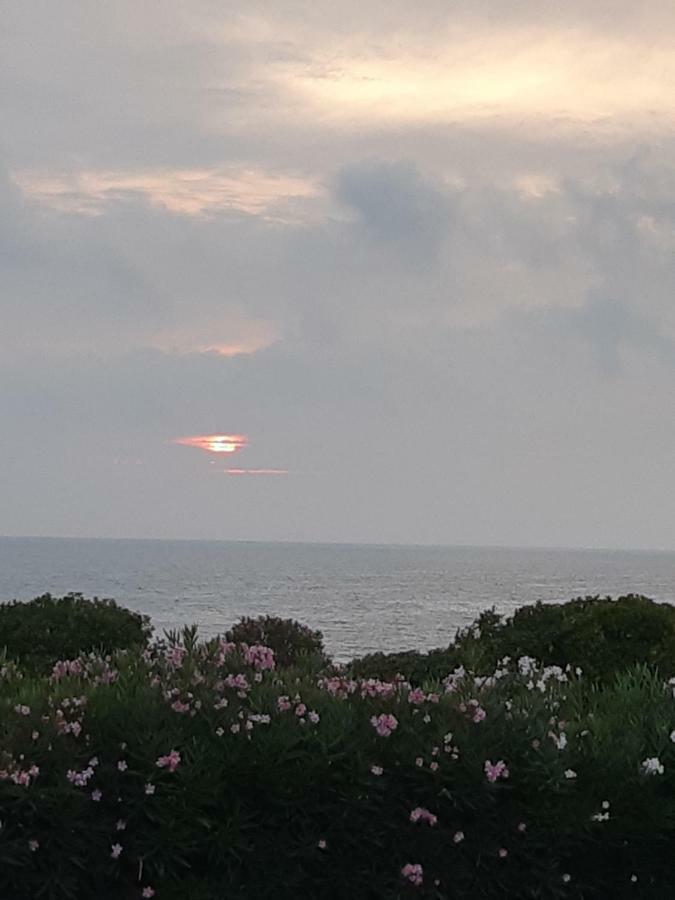 Guest House Al Mare Civitavecchia Luaran gambar